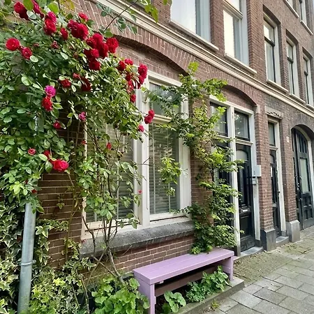 Appartamento Stylish Garden In The Heart Of De Pijp Amsterdam
